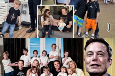 Elon Musk buys compound for his 11 children and their different mothers to live amongst each other with him