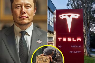 BREAKING NEWS! Elon Musk donates $112 million in Tesla stock to homeless people, with special conditions