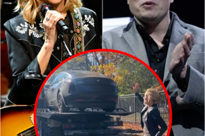 Sheryl Crow Sells Her Tesla, Donates Money to NPR in Protest of Elon Musk