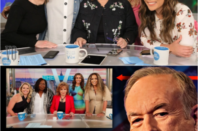 The View SLAMMED with Resignation DEMANDS: Conservative Media TURN ON Disney’s ABC Daytime Show!