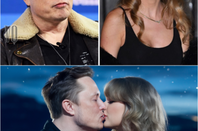 Breaking news: Taylor Swift has shockingly accepted to marry American multi-billionaire Elon Musk after he proposed to give her half of his wealth