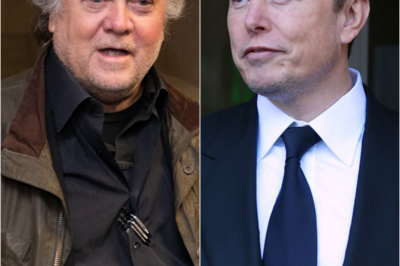 ‘Not just Elon’: Steve Bannon talks to CNN about his feud with Elon Musk