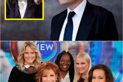 Elon Musk called for a boycott of The View, calling it “a meeting place for ignorant women.” Immediately after, the entire cast responded fiercely