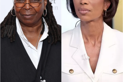 Harris Faulkner’s blunt message to The View rivals Whoopi Goldberg and Sunny Hostin