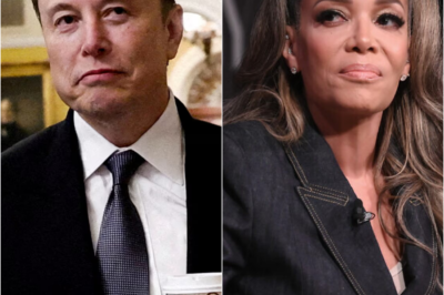 Sunny Hostin offends Elon Musk on The View?