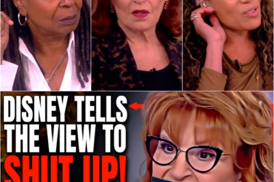 The View SILENCED by Disney?! Sunny, Whoopi & Joy Allegedly Told to KNOCK IT OFF on Orange Mad Bad!