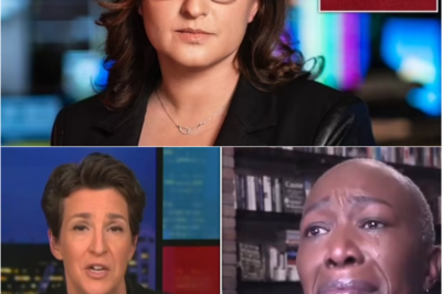 Intriguing Signs Joy Reid is Furious with MSNBC Over Her Show’s Cancellation Amid Network’s Growing Crises
