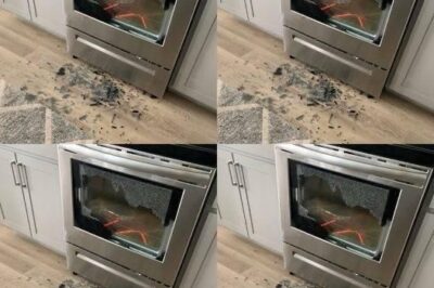 What Causes Oven Doors to Shatter and How Can You Prevent It?