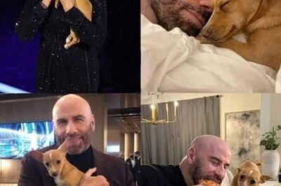 The Heartwarming Story of Jamie Lee Curtis, John Travolta, and Mac N Cheese: A Message of Dog Adoption at the 2022 Oscars