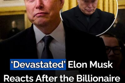 ‘Devastated’ Elon Musk reacts after the billionaire lost $29,000,000,000 in one day