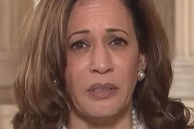 Kamala Harris’ Ex Criticizes Her Campaign: ‘Not One of Them Got it Right’