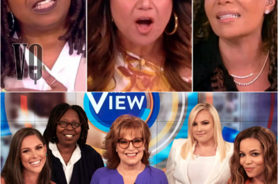 Rob Schneider To Launch New Woman’s Show To Compete With ‘The View’