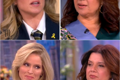 Sara Haines and Ana Navarro clash as fans say they’ve ‘never seen them go at it like that’