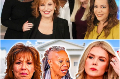 The View Publicly BEGS Karoline Leavitt to Drop Her $800M Lawsuit – Total PANIC Mode!