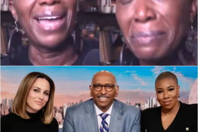 Joy Reid lost her temper and broke her silence after being mercilessly fired by MSNBC in first interview, but when she revealed the reason, no one had any doubts.