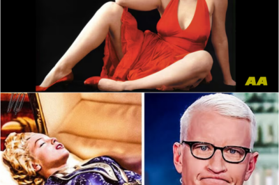 Frank Sinatra Finally Confirms the Truth Behind Marilyn Monroe’s Death