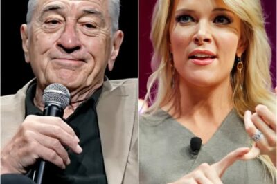 BREAKING NEWS: The American actor Robert De Niro gives a shocking 9-word response after Megyn Kelly criticized him and called him “extremely stupid” in the war that erupted in Hollywood.