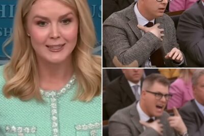 THIS JUST HAPPENED: Shocking Fallout—Reporter FIRED After INSULTING Karoline Leavitt on Live TV!