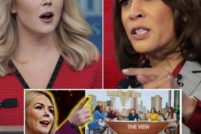 THE HORRIFYING TRUTH: The View is a complete mess after Karoline Leavitt EXPOSED them…So what’s so terrible about The View after Karoline exposed it?