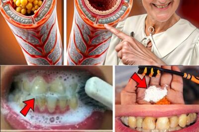 Naturally Reverse Early Tooth Decay: 6 Proven Tips to Strengthen Enamel and Support Your Smile