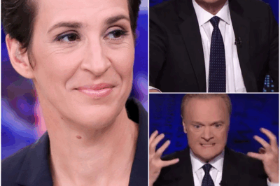 Rachel Maddow’s bumper pay is fueling jealousy at MSNBC, say insiders as Lawrence O’Donnell remains off air