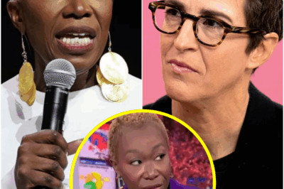 Rachel Maddow does not hold back her criticism, labeling NBC executives as “bastards” after revealing the actual cause behind Joy Reid’s termination—“It was due to her race.”