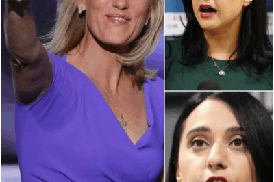 Late-Night TV Scandal: Laura Ingraham ‘Shuts Down’ Democratic Lawmaker With ‘Take a Breath’ Remark – Behind the Scenes of Trump-Era’s Most Controversial Immigration Policy Battle