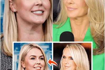 What is the advice that former press secretary Dana Perino gave the current one Karoline Leavitt?