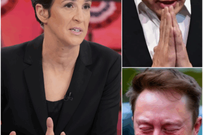🚨Maddow CRACKS UP After Revealing SECRET MUSK RECORDING