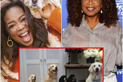 Social Media Calls Oprah ‘Pathetic’ After Its Revealed She Left $30M To Her Dogs In Her Will: ‘Another Reason I Truly Dislike Her’
