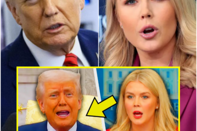 Leavitt ATTACKS Reporters After Trump CAUGHT On Video Saying THIS!