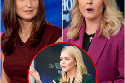 After a contentious question, Karoline Leavitt removes CNN’s Kaitlan Collins from the press briefing.