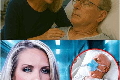 Dana Perino finally reveals the period of DEPRESSION after DIVORCE that broke her silence about her husband