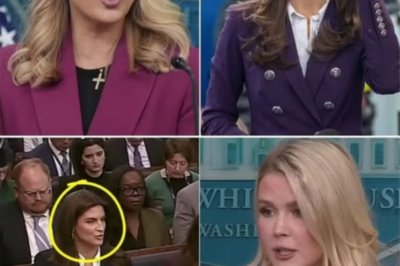 Karoline Leavitt BANS CNN’s Kaitlan Collins from Press Brief after STUPID Question