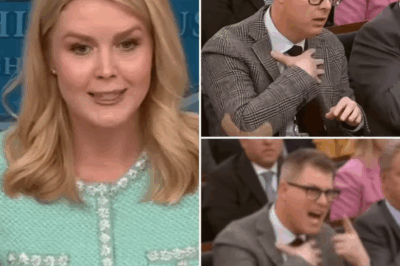 THIS JUST HAPPENED: Shocking Fallout—Reporter FIRED After INSULTING Karoline Leavitt on Live TV!