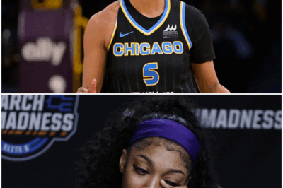 “I’VE GIVEN EVERYTHING TO THIS GAME—WHY DOES THE WNBA THINK I’M ONLY WORTH $75,000?”