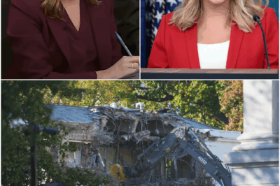 “Her smile vanished in an instant—like someone had cut the power to her face.”